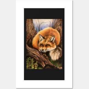 Red Fox Posters and Art